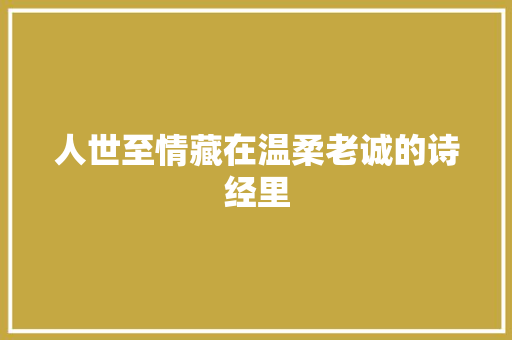 人世至情藏在温柔老诚的诗经里
