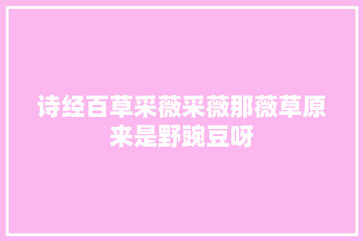 诗经百草采薇采薇那薇草原来是野豌豆呀