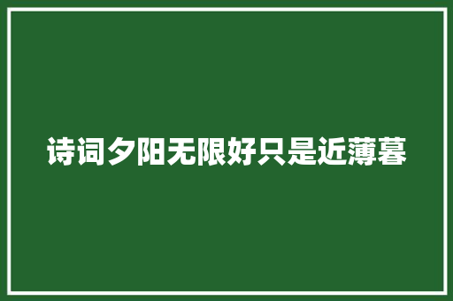 诗词夕阳无限好只是近薄暮