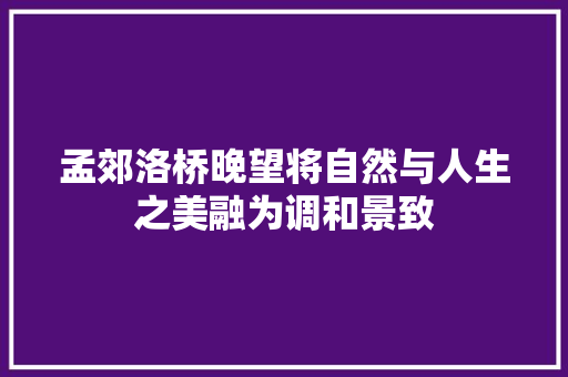 孟郊洛桥晚望将自然与人生之美融为调和景致