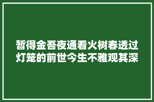 暂得金吾夜通看火树春透过灯笼的前世今生不雅观其深远蕴意