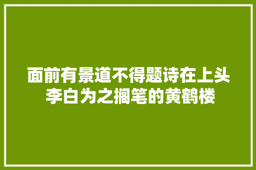 面前有景道不得题诗在上头 李白为之搁笔的黄鹤楼