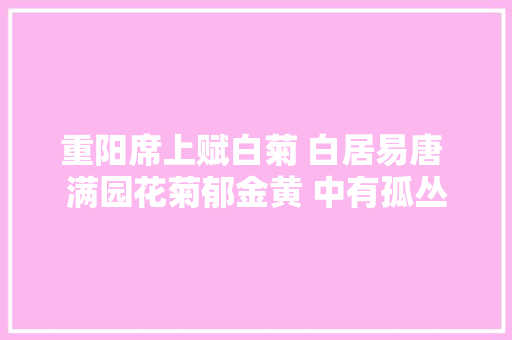 重阳席上赋白菊 白居易唐 满园花菊郁金黄 中有孤丛色似霜。