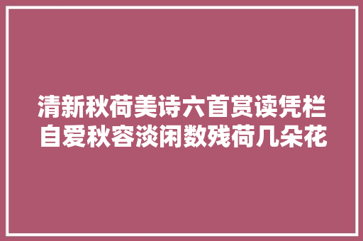 清新秋荷美诗六首赏读凭栏自爱秋容淡闲数残荷几朵花