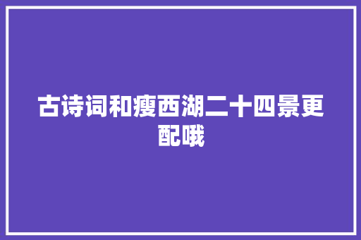 古诗词和瘦西湖二十四景更配哦