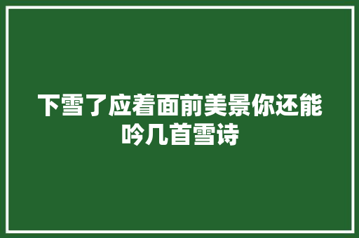 下雪了应着面前美景你还能吟几首雪诗