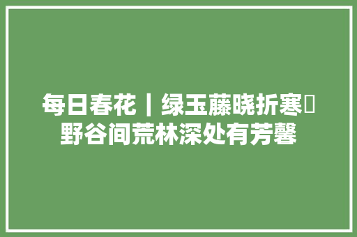 每日春花｜绿玉藤晓折寒絫野谷间荒林深处有芳馨