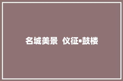 名城美景  仪征•鼓楼