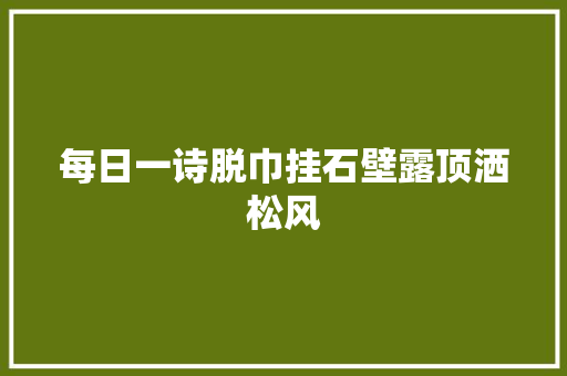每日一诗脱巾挂石壁露顶洒松风