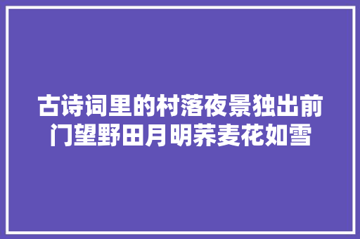 古诗词里的村落夜景独出前门望野田月明荞麦花如雪
