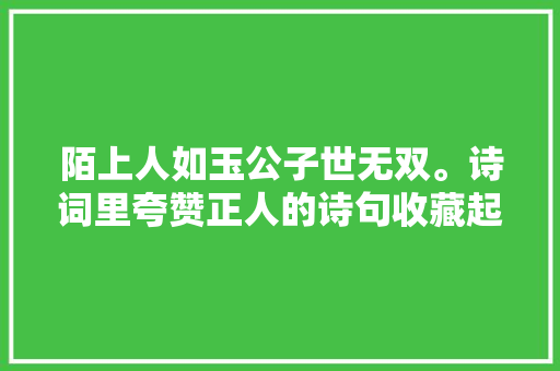 陌上人如玉公子世无双。诗词里夸赞正人的诗句收藏起来