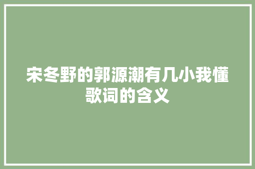 宋冬野的郭源潮有几小我懂歌词的含义