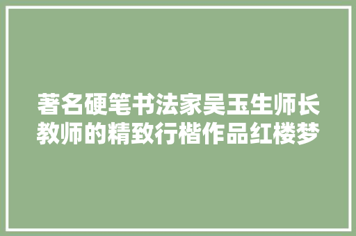 著名硬笔书法家吴玉生师长教师的精致行楷作品红楼梦不雅赏