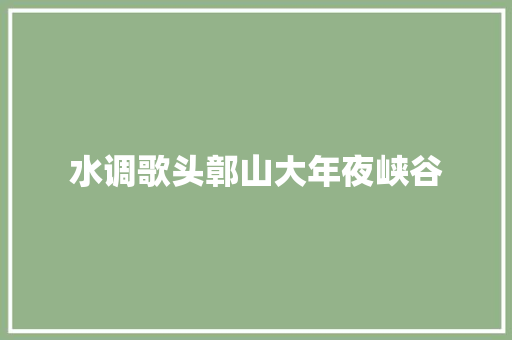 水调歌头鄣山大年夜峡谷