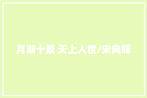 月湖十景 天上人世/宋向辉