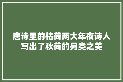 唐诗里的枯荷两大年夜诗人写出了秋荷的另类之美