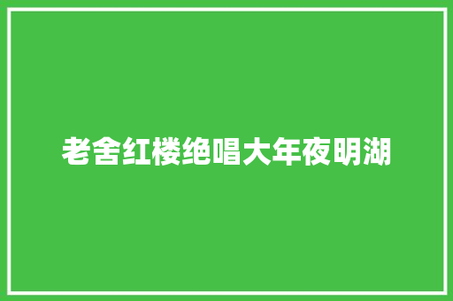 老舍红楼绝唱大年夜明湖