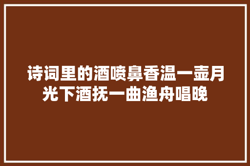 诗词里的酒喷鼻香温一壶月光下酒抚一曲渔舟唱晚