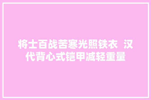 将士百战苦寒光照铁衣  汉代背心式铠甲减轻重量