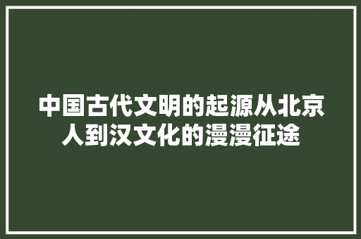 中国古代文明的起源从北京人到汉文化的漫漫征途