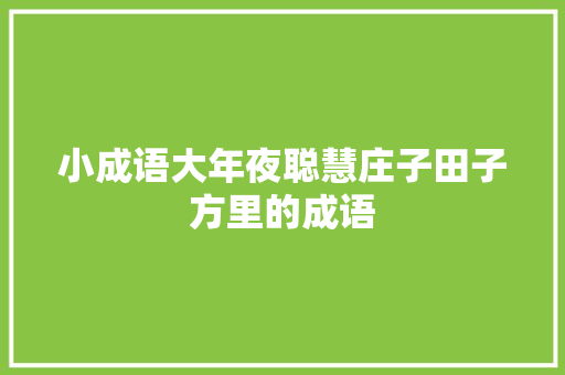 小成语大年夜聪慧庄子田子方里的成语