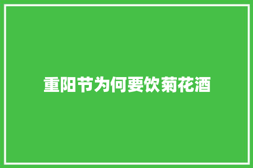 重阳节为何要饮菊花酒