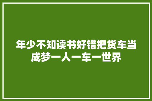 年少不知读书好错把货车当成梦一人一车一世界