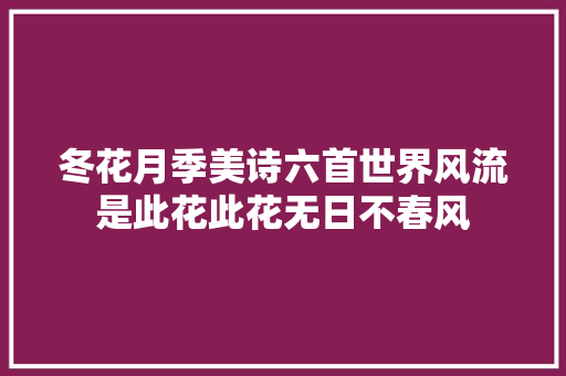 冬花月季美诗六首世界风流是此花此花无日不春风