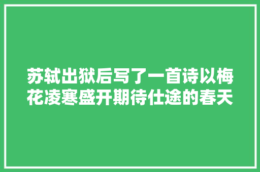 苏轼出狱后写了一首诗以梅花凌寒盛开期待仕途的春天