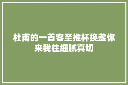 杜甫的一首客至推杯换盏你来我往细腻真切