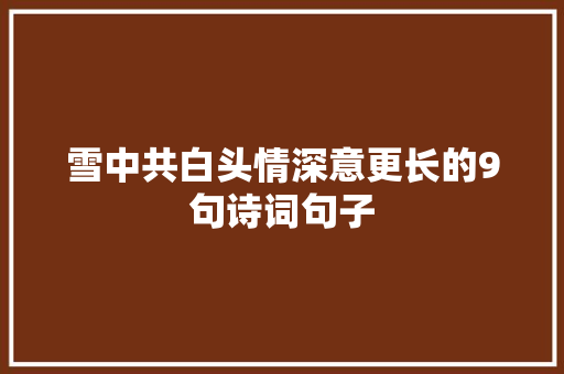 雪中共白头情深意更长的9句诗词句子