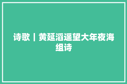 诗歌｜黄延滔遥望大年夜海组诗