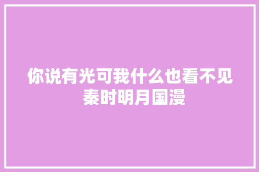 你说有光可我什么也看不见  秦时明月国漫
