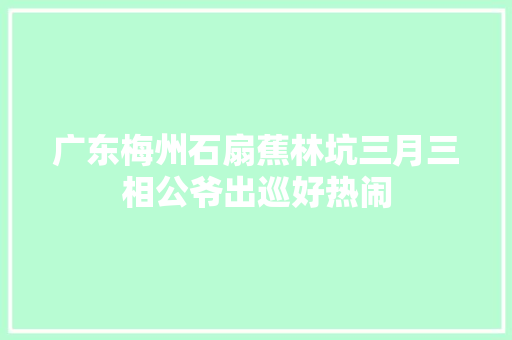 广东梅州石扇蕉林坑三月三相公爷出巡好热闹