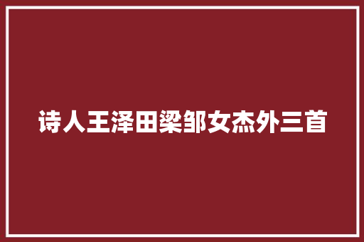 诗人王泽田梁邹女杰外三首