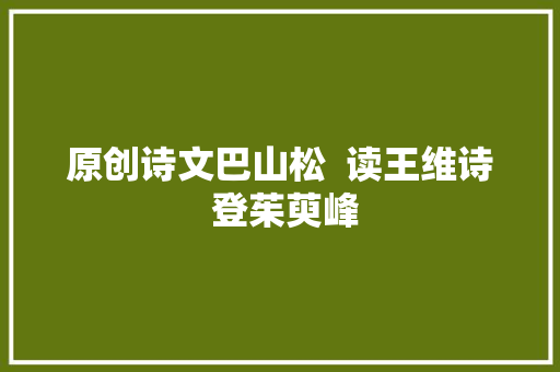 原创诗文巴山松  读王维诗 登茱萸峰