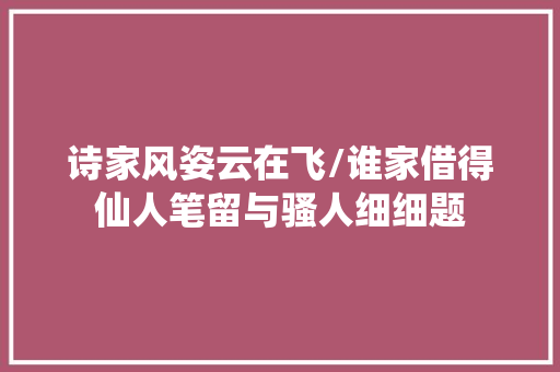 诗家风姿云在飞/谁家借得仙人笔留与骚人细细题