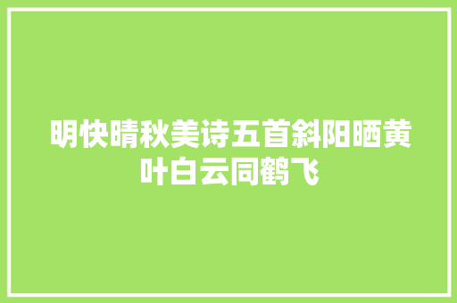 明快晴秋美诗五首斜阳晒黄叶白云同鹤飞