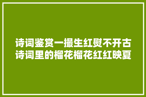 诗词鉴赏一撮生红熨不开古诗词里的榴花榴花红红映夏日