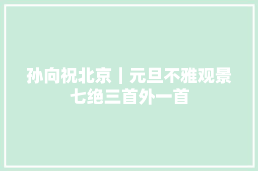 孙向祝北京｜元旦不雅观景七绝三首外一首