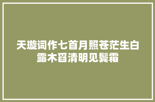 天璇词作七首月照苍茫生白露木舀清明见鬓霜