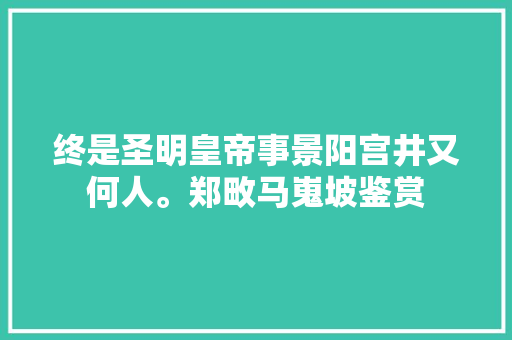 终是圣明皇帝事景阳宫井又何人。郑畋马嵬坡鉴赏