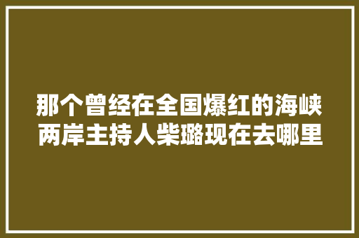 那个曾经在全国爆红的海峡两岸主持人柴璐现在去哪里了