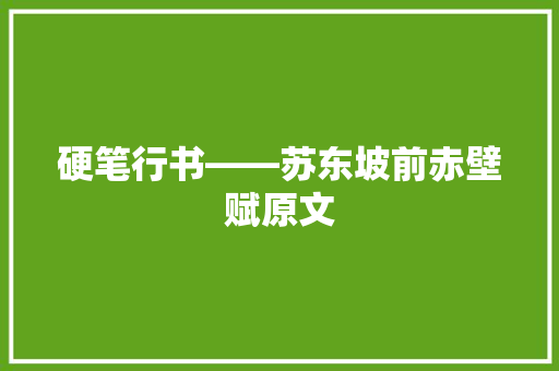 硬笔行书――苏东坡前赤壁赋原文 硬笔行书――苏东坡前赤壁赋原文