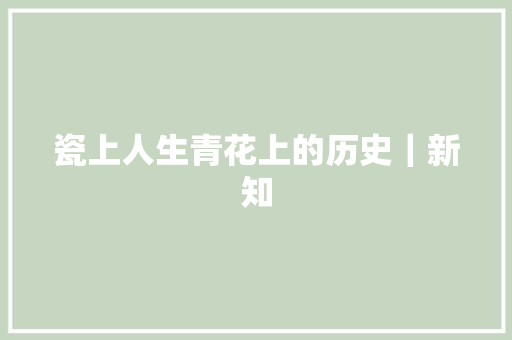 瓷上人生青花上的历史｜新知