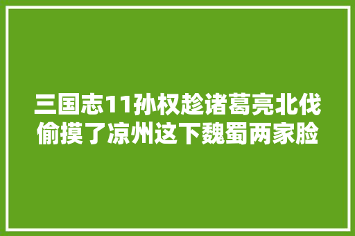 三国志11孙权趁诸葛亮北伐偷摸了凉州这下魏蜀两家脸都气绿了