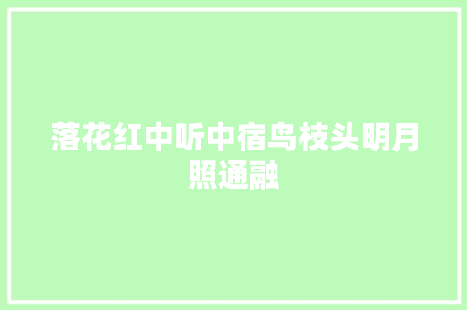 落花红中听中宿鸟枝头明月照通融
