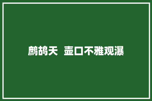 鹧鸪天  壶口不雅观瀑