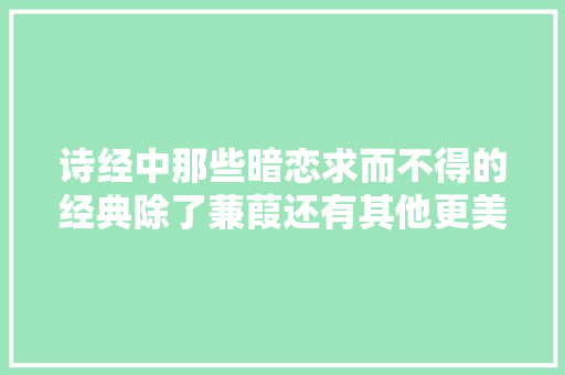诗经中那些暗恋求而不得的经典除了蒹葭还有其他更美的诗句