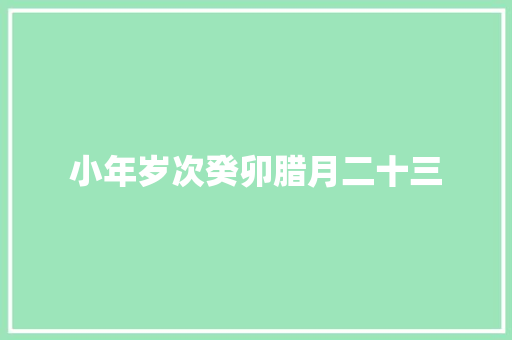 小年岁次癸卯腊月二十三